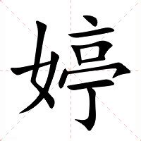 婷 五行|婷的意思，婷字的意思